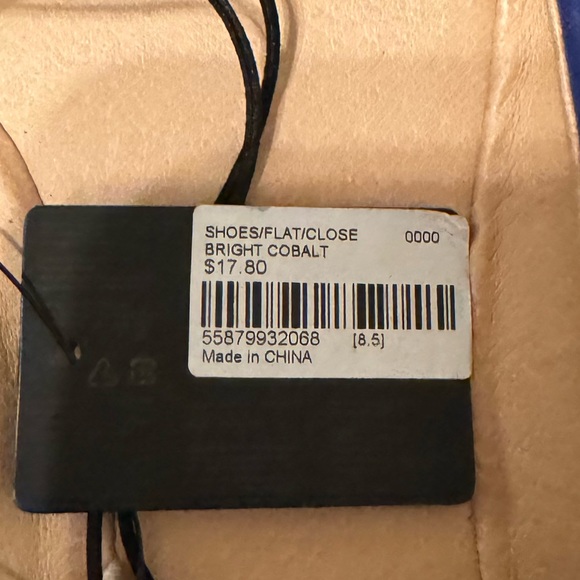 FOREVER 21. BLUE FLAT POINTED TOE. SIZE 8.5 NWT. - Picture 2 of 3